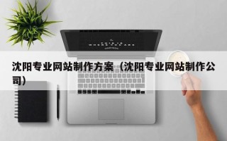 开封沈阳专业网站制作方案（沈阳专业网站制作公司）
